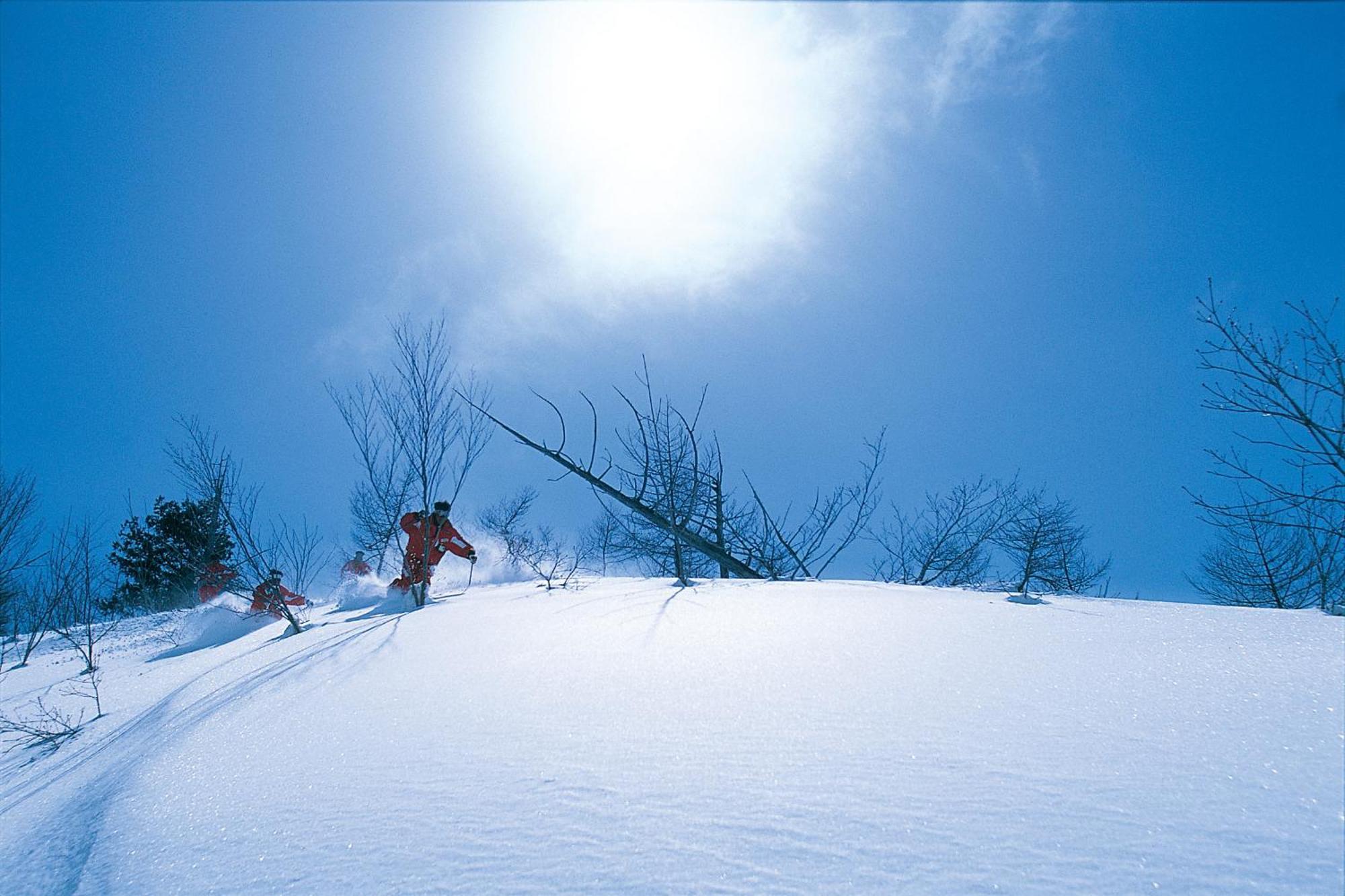 Community House Tyrolien Hotel Hakuba Exterior photo